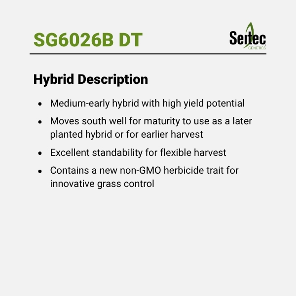SG6026B DT - HD