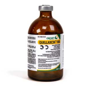 Quellaxcin 100 Injection (Enrofloxacin), 100 mL