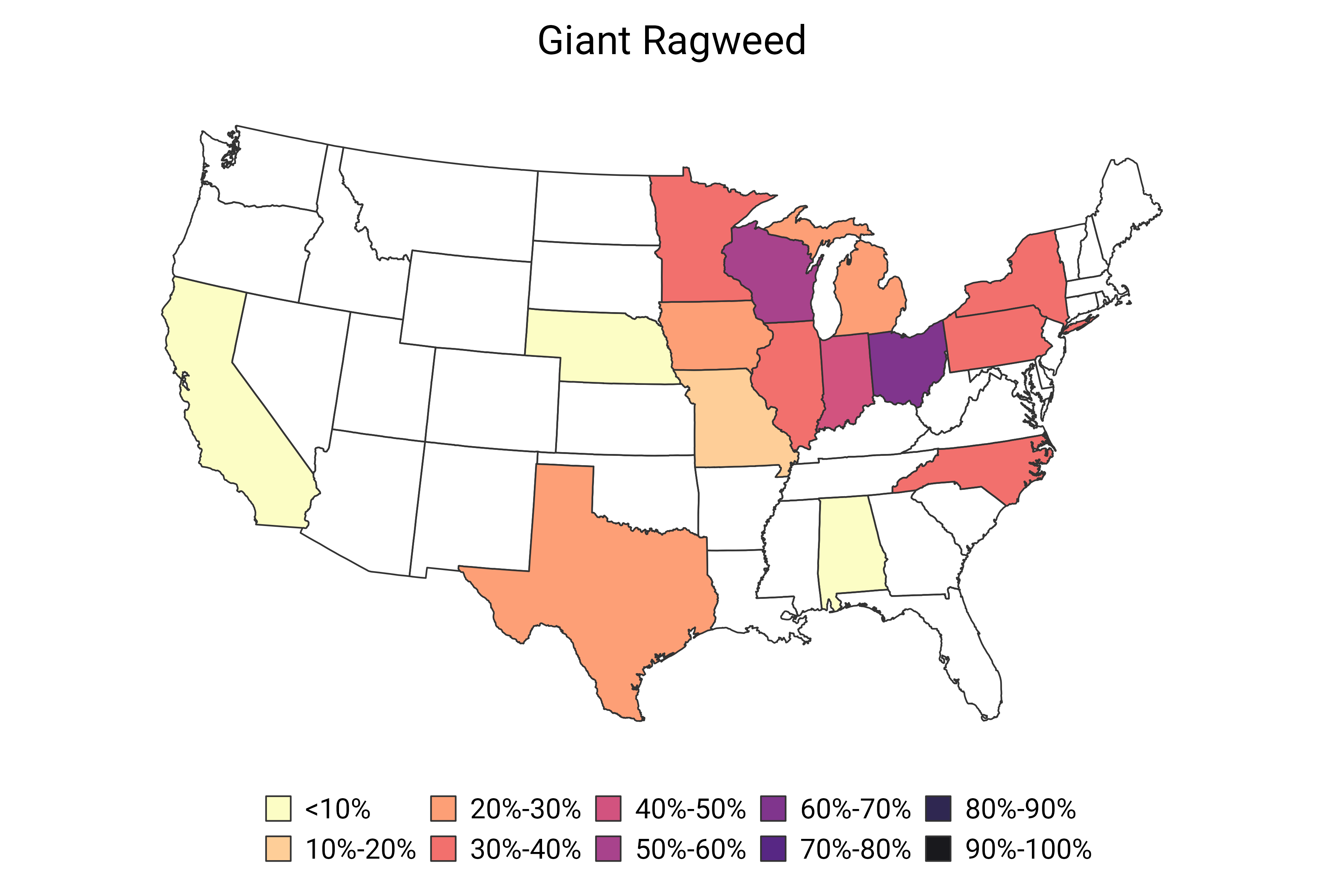 Giant Ragweed  (June 2024)