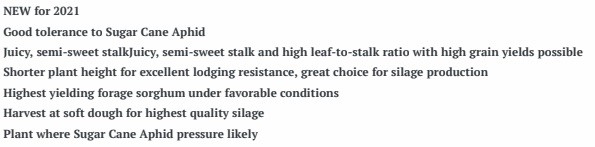 Sorghum 2-Way AT STD Treated