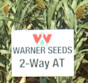 Sorghum 2-Way AT STD Treated