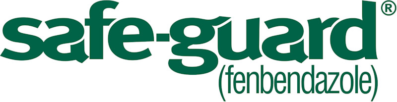 Safe-Guard Suspension