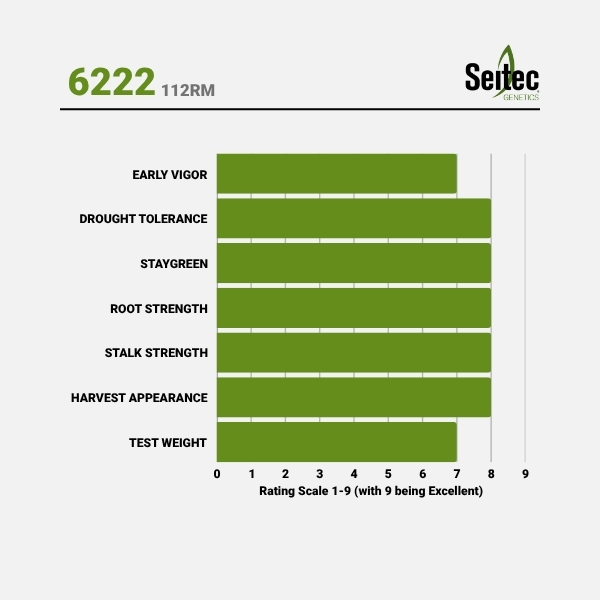 6222 - Chart
