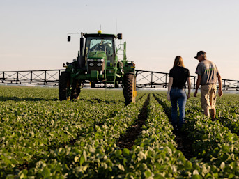 Two farmers walking in soybean field
