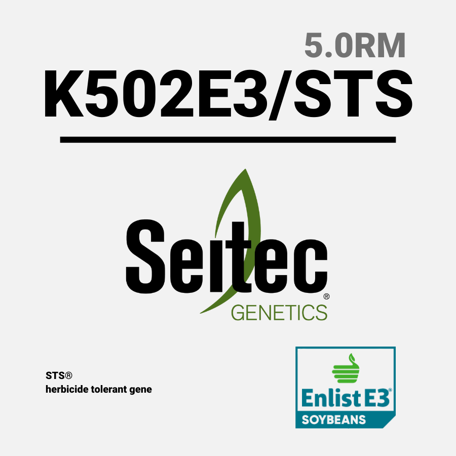 K502E3 STS