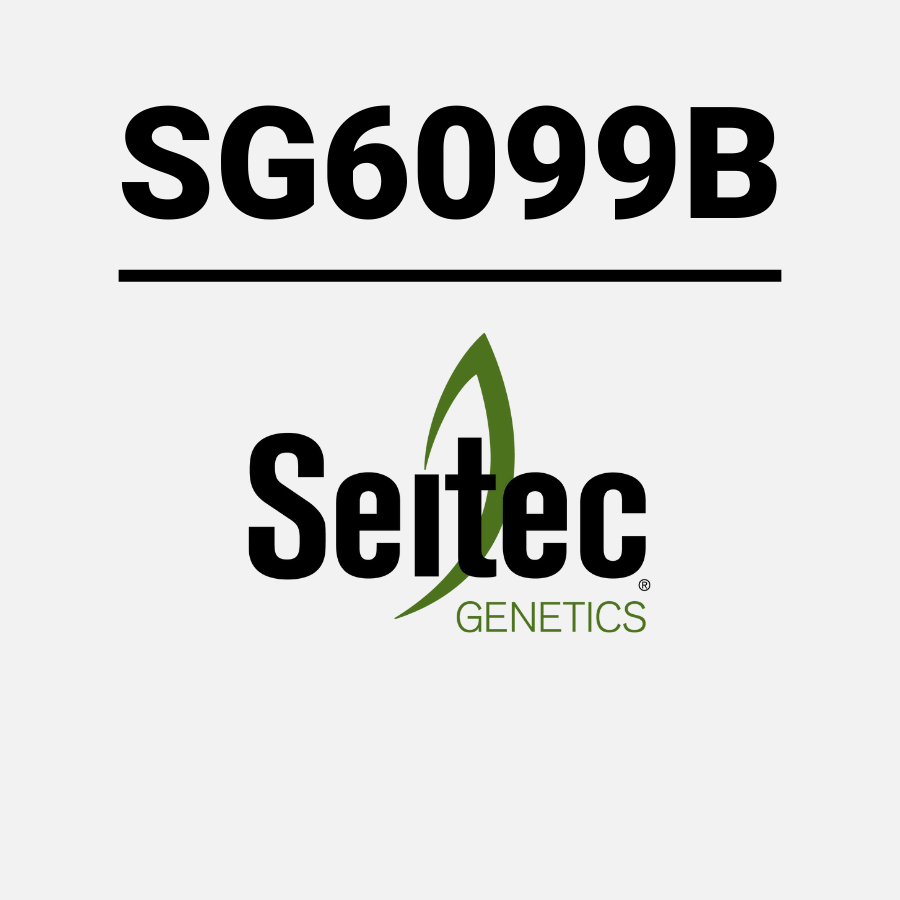 SG6099B