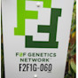 Corn F2F1G-060 Treated