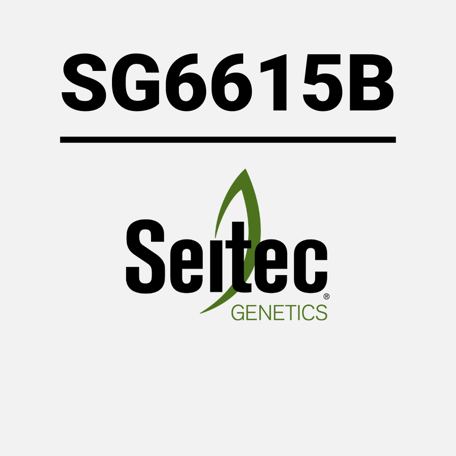 SG6615B