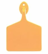 Allflex Feedlot, Blank, 50 Count (Light Orange)
