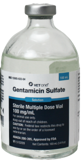 Gentamicin Sulfate Injection, 100 mL