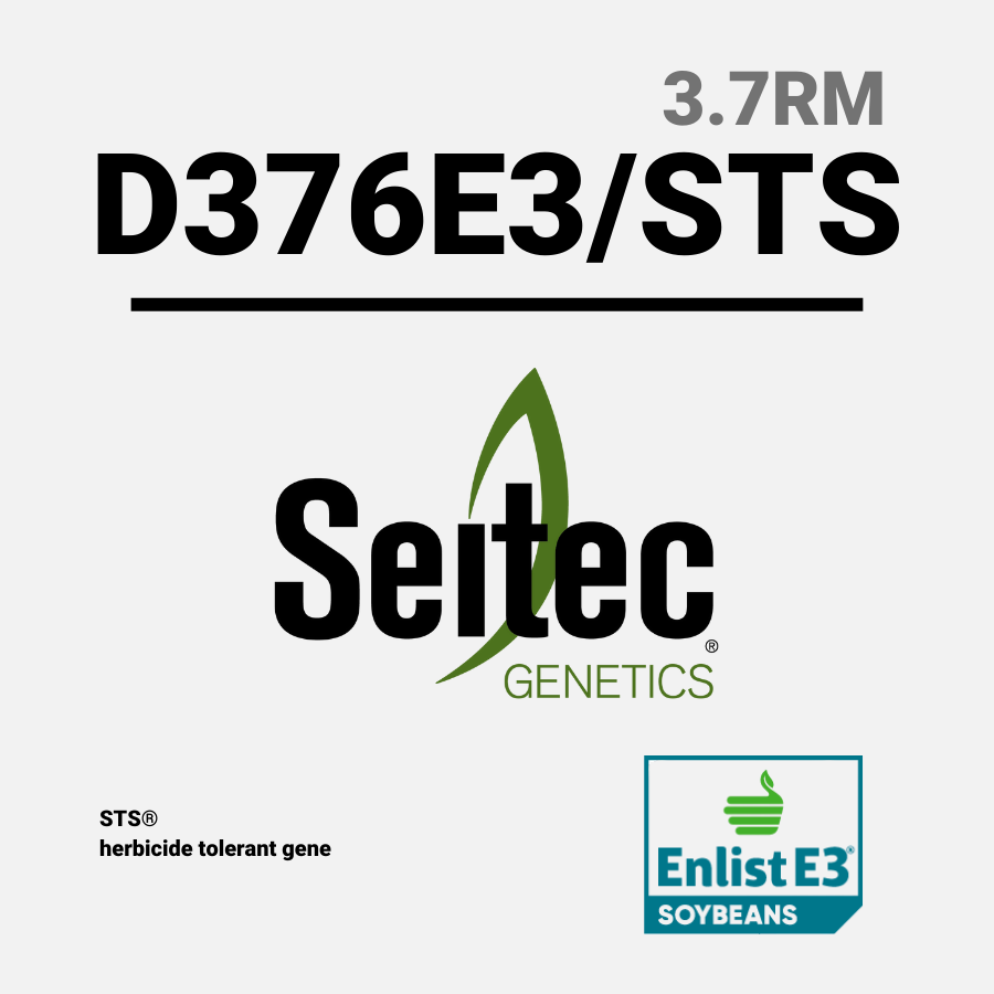 D376E3 STS