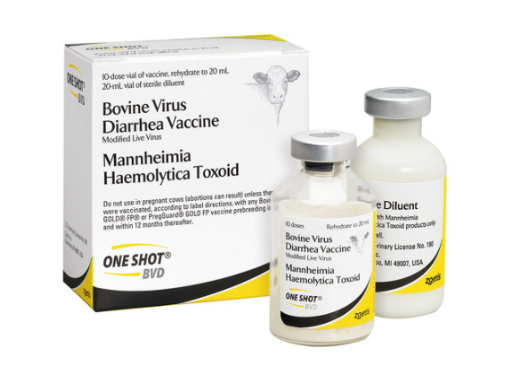 One Shot® BVD, 10 Dose Package