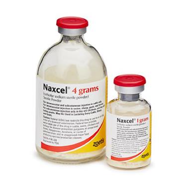 Naxcel Multi