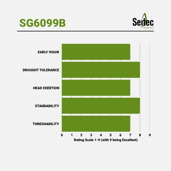 SG6099B - Chart