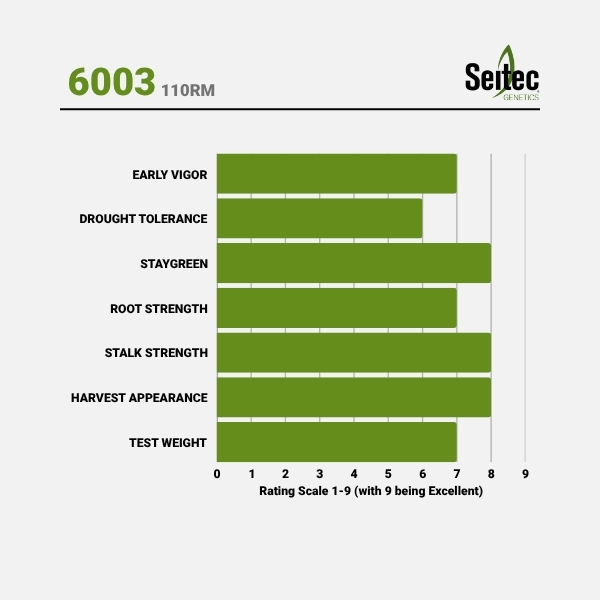 6003 - Chart