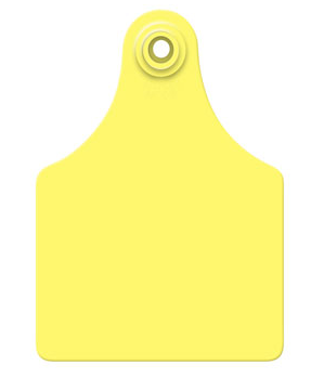 Allflex Global Maxi, Blank, 25 Count (Yellow)