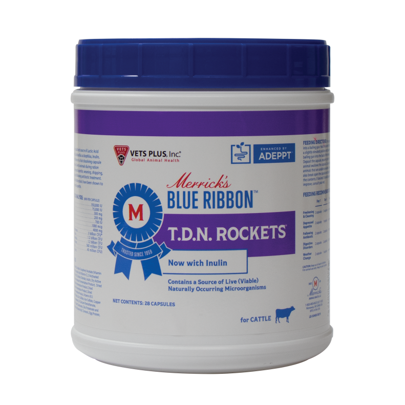 Blue Ribbon T.D.N. Rockets