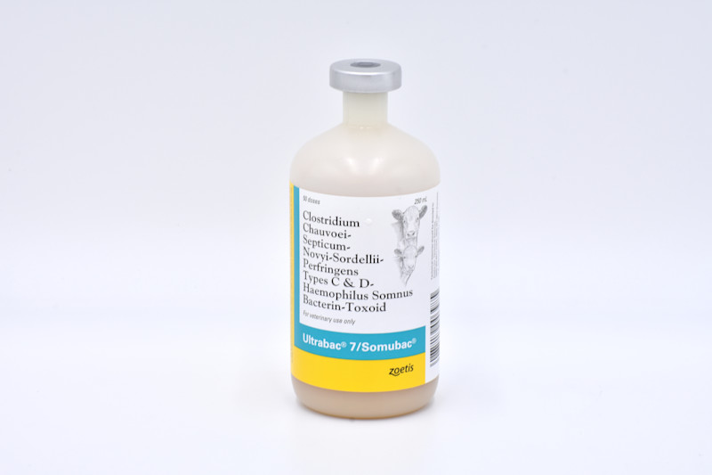 Ultrabac 7/Somubac