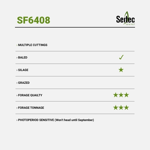 SF6408 - Chart