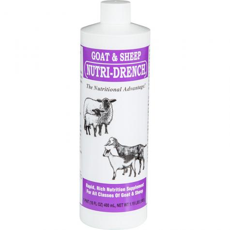 Nutri-Drench® for Goats & Sheep, 16 fl oz