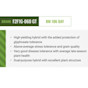 Corn F2F1G-060 Treated