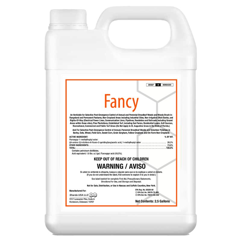 Fancy jug 800x800