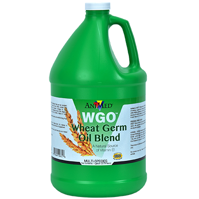 WGO Wheat Germ Oil Blend gallon