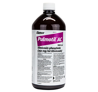 Pulmotil® AC 960 ml