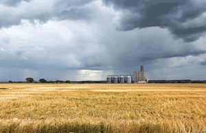 Hero Image: What Crop Insurance Updates Can You Expect For 2021?