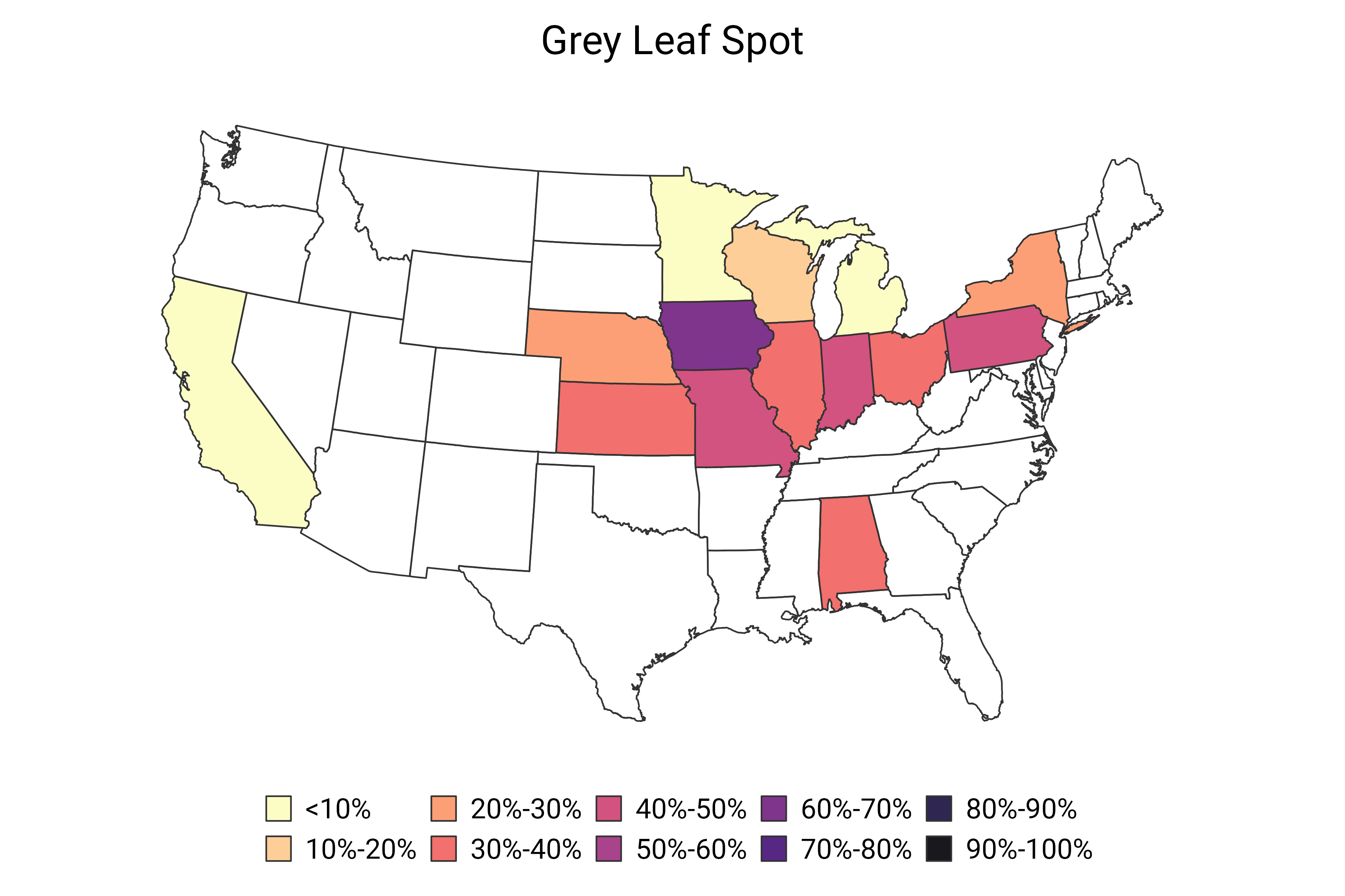 Grey Leaf Spot (June 2024)