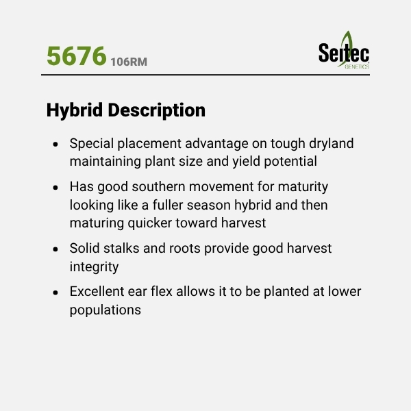 5676 - HD