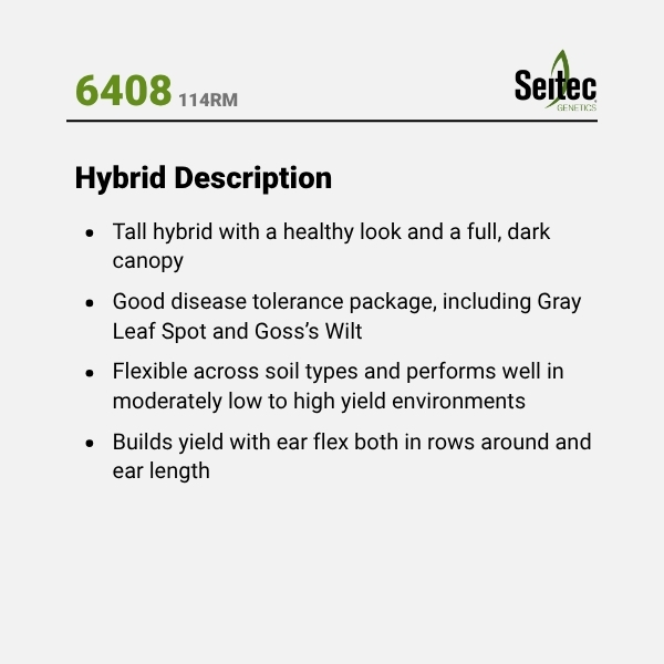 6408 - HD
