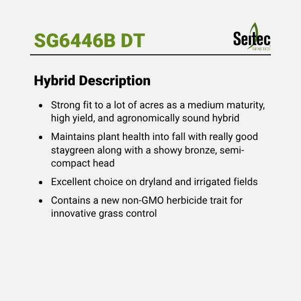 SG6446B DT - HD