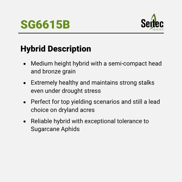 SG6615B - HD
