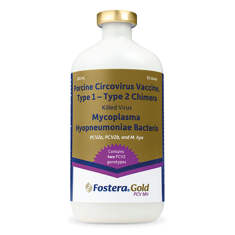 Fostera® GOLD PCV MH 50 dose