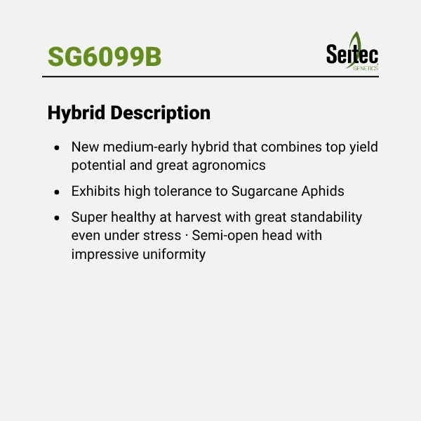 SG6099B - HD