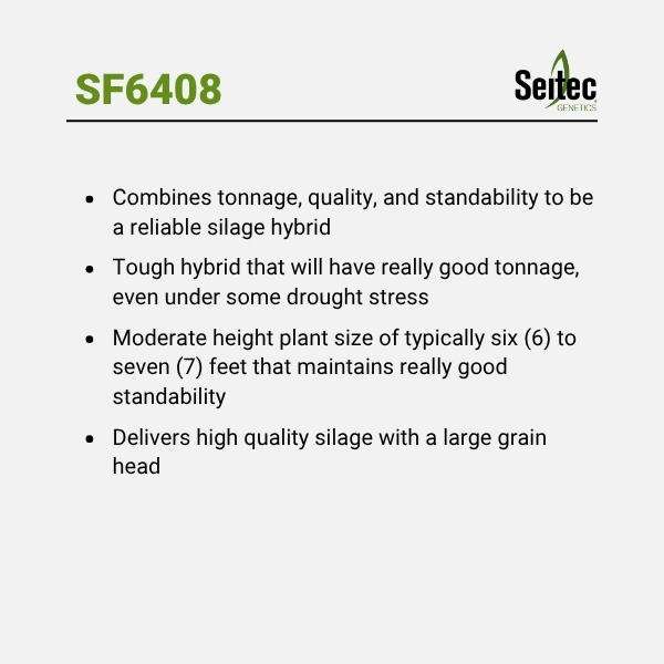 SF6408