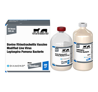 titanium-ibr-lp-50-dose