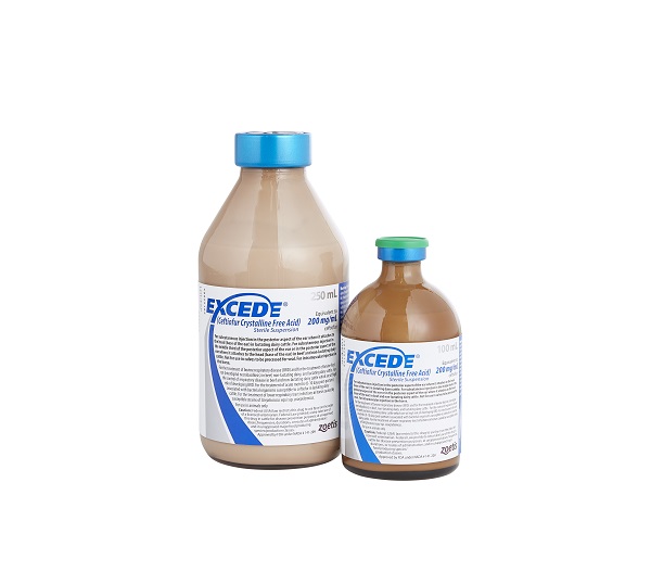 Excede® for Cattle