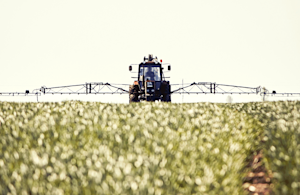 Hero Image: Managing Weeds and Pests in Conventional Corn and Soybeans Starts with a Good Chem Plan