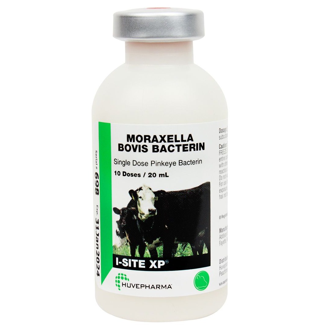 I-Site XP®, 50 Dose | FBN