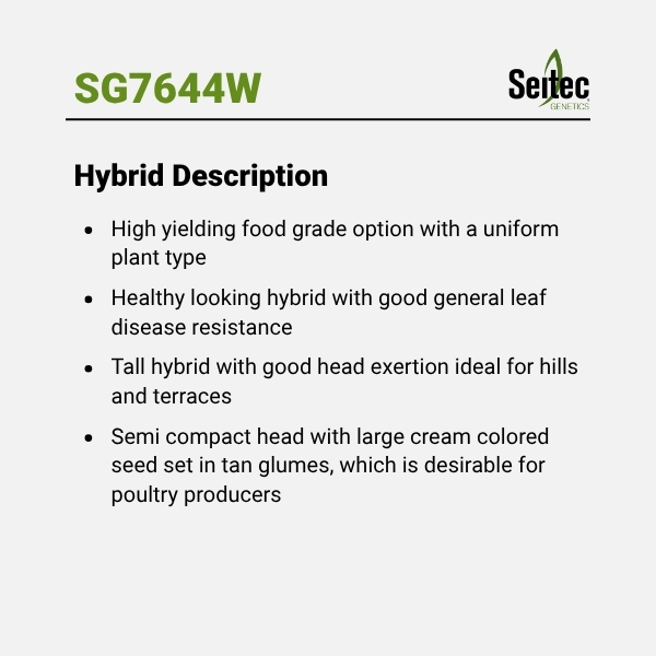 SG7644W - HD