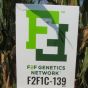 Corn F2F1C-139 Treated