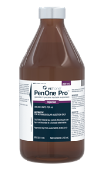 PenOne Pro (RX) 250 ml