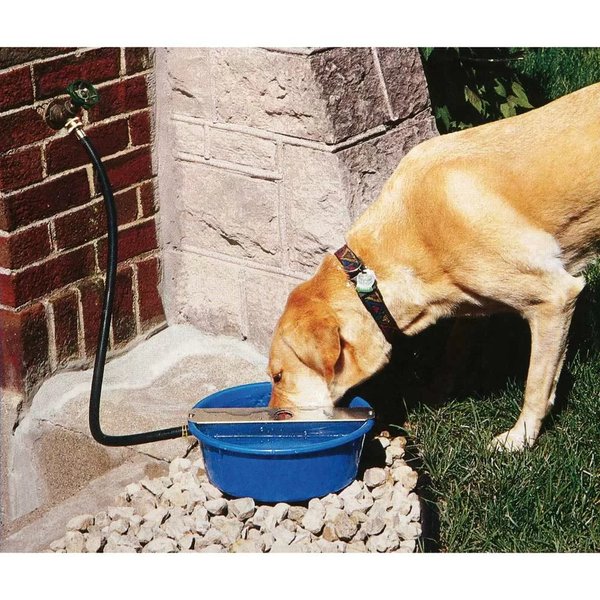 Little Giant Ever Full Bowl™ DOG