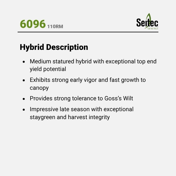 6096 - HD