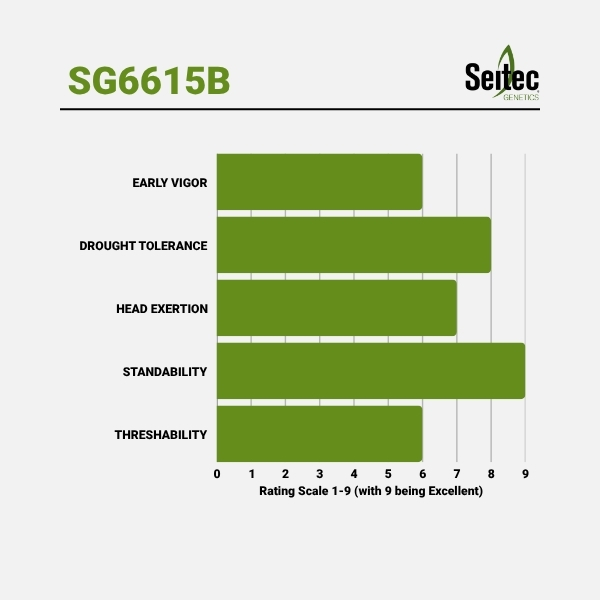 SG6615B - Chart