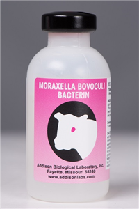 Moraxella Bovoculi Bacterin, 10 Dose