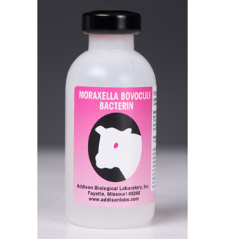 Moraxella Bovoculi Bacterin, 10 Dose
