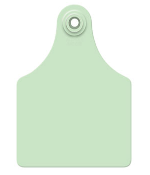 Allflex Global Maxi, Blank, 25 Count (Green)